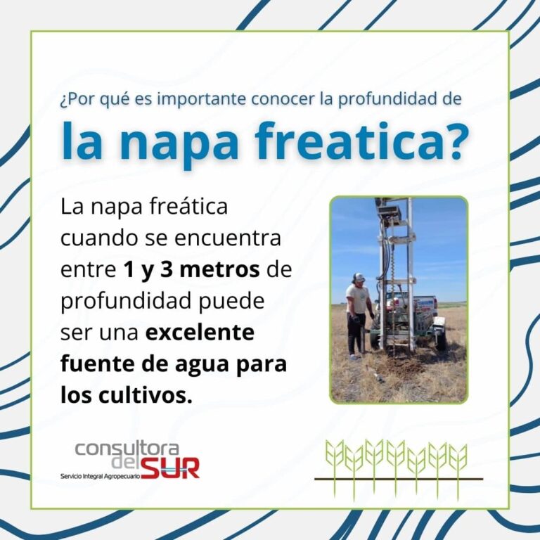 napa freatica 1